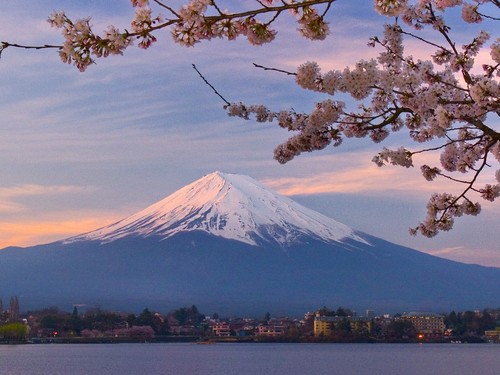 Mt. Fuji Hakone One-day Tour (From Tokyo)