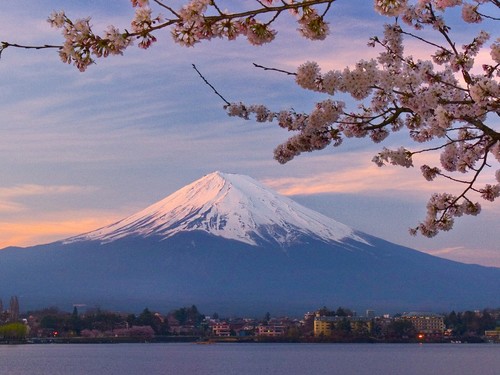 (客服专用) 东京→富士山箱根包车一日游