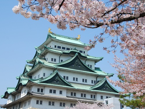 (客服专用)名古屋市区包车一日游