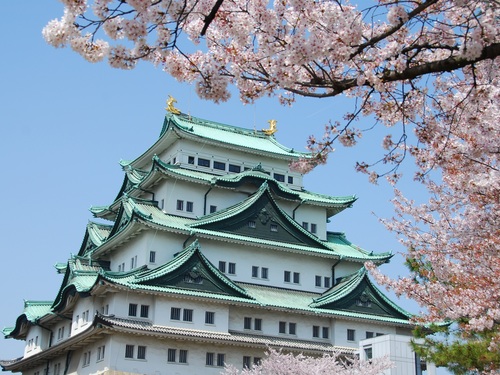 名古屋市区包车一日游