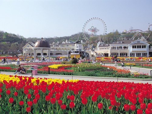 Everland Resort One-day Tour (from Seoul)