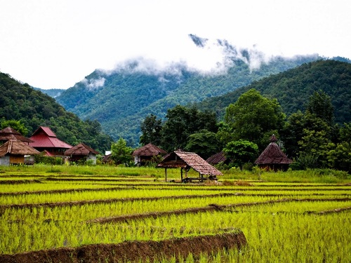 Chiang Mai→Pai One-day Tour