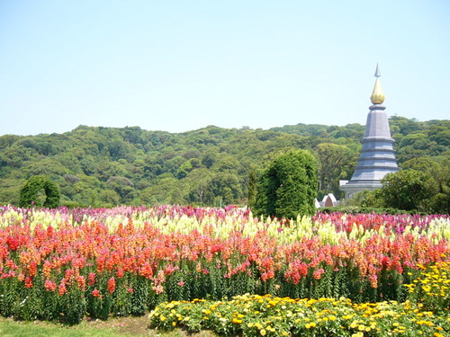 清迈→茵他侬国家公园包车一日游