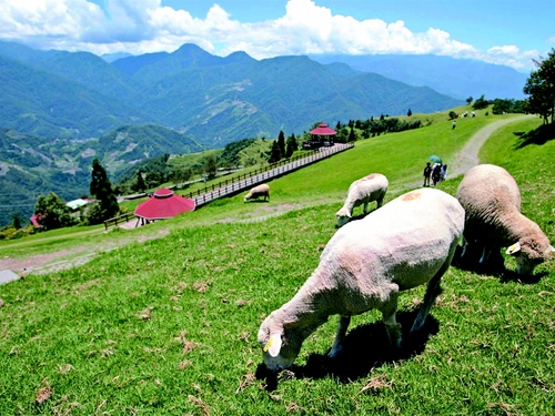 Qingjing→Hualien