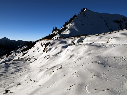 Taipei→Hehuanshan One-day Tour