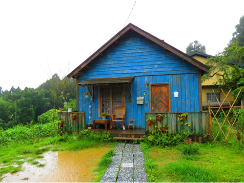 Tainan→Alishan→Chiayi One-day Tour