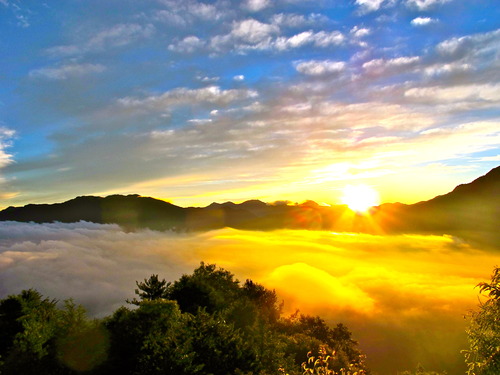 Alishan→Taipei One-day Tour