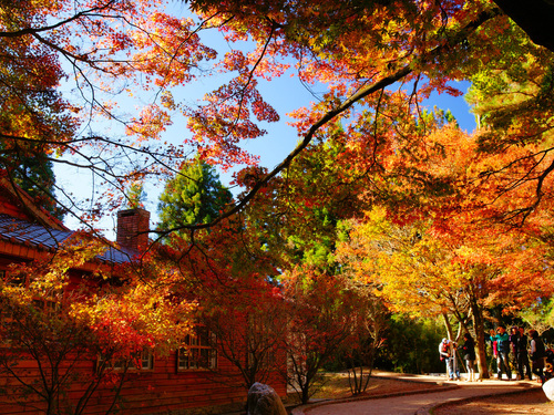 Taichung→Fushoushan One-day Tour