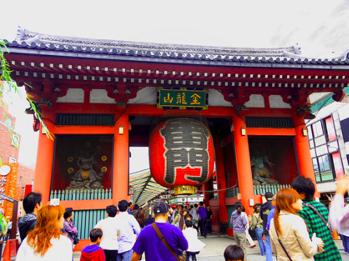 东京市区包车一日游