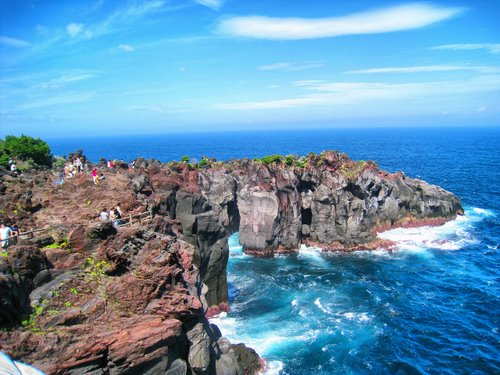 Izu One-day Tour (From Tokyo)