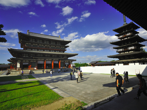 (大阪出發) 京都奈良包車一日遊