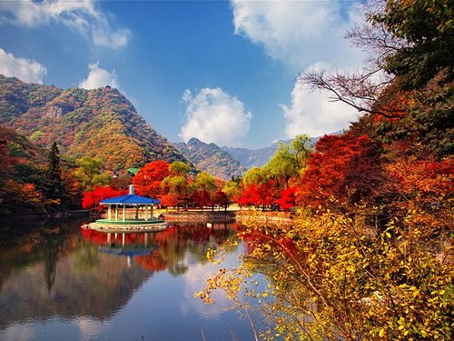 Naejangsan One-day Tour (From Seoul)