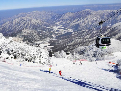 Gangwondo Ski One-day Tour (From Seoul)