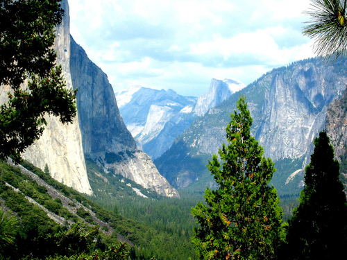 San Francisco→Yosemite One-day Tour