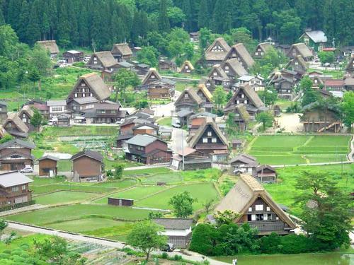 高山→名古屋單程接送