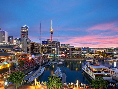 Auckland One-day Tour