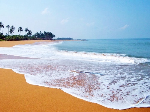 Negombo One-Day
