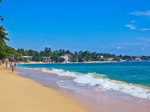 Mirissa One-Day Tour (from Colombo)